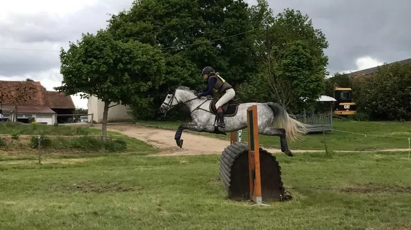 Activités équestres La Ferté-Saint-Aubin